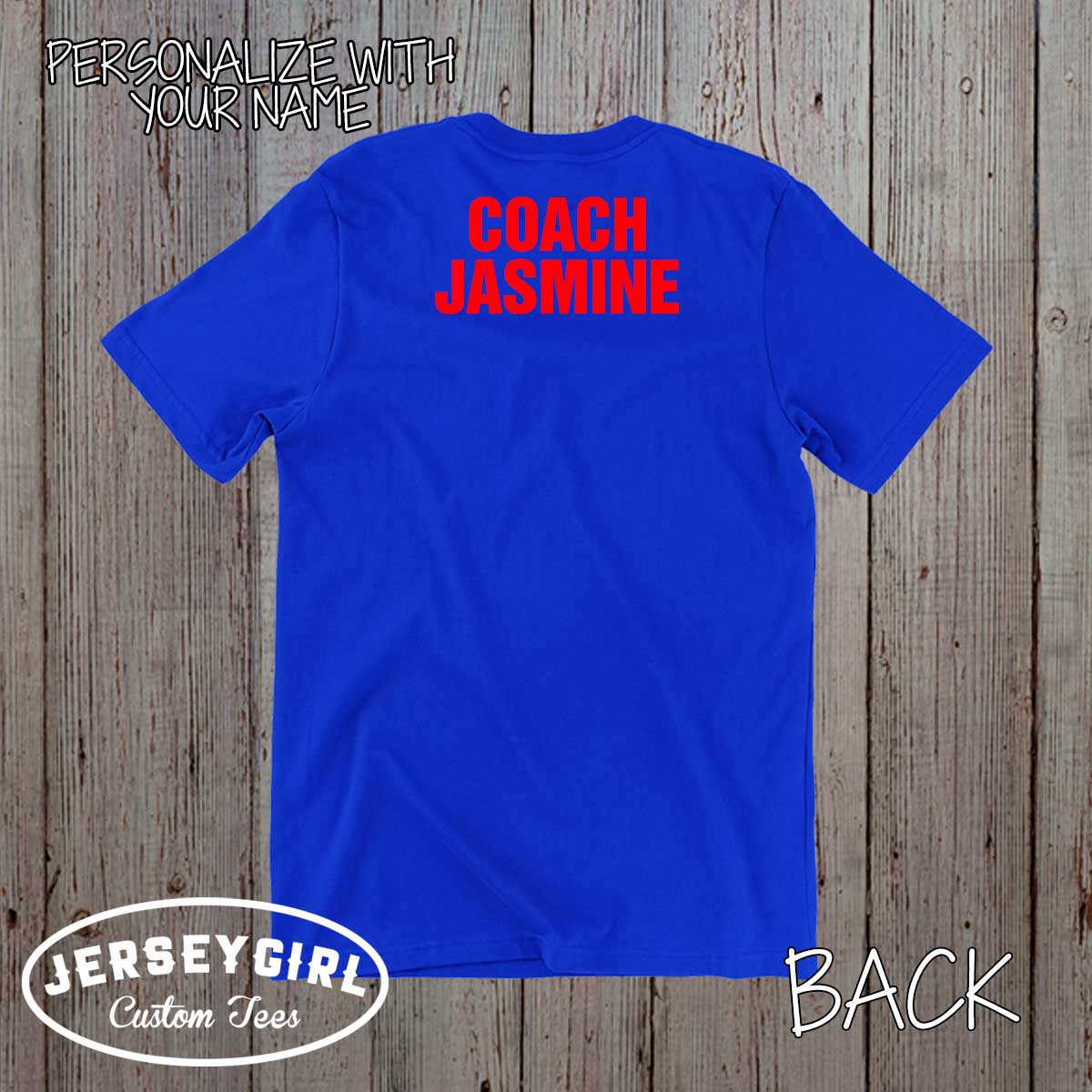 I Teach Girls to Hit & Steal softball coach shirt